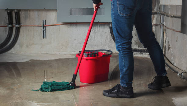 Trusted Duson, LA Water damage restoration Experts