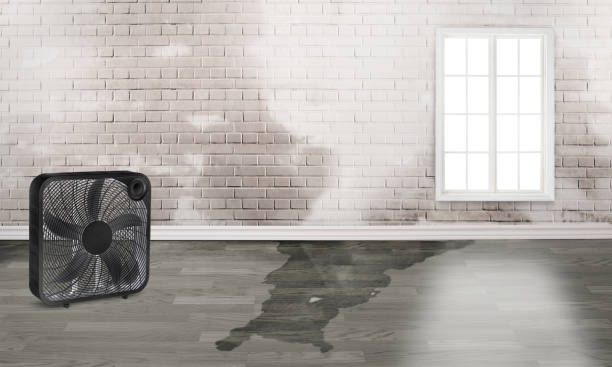 Local water damage restoration in Duson, LA